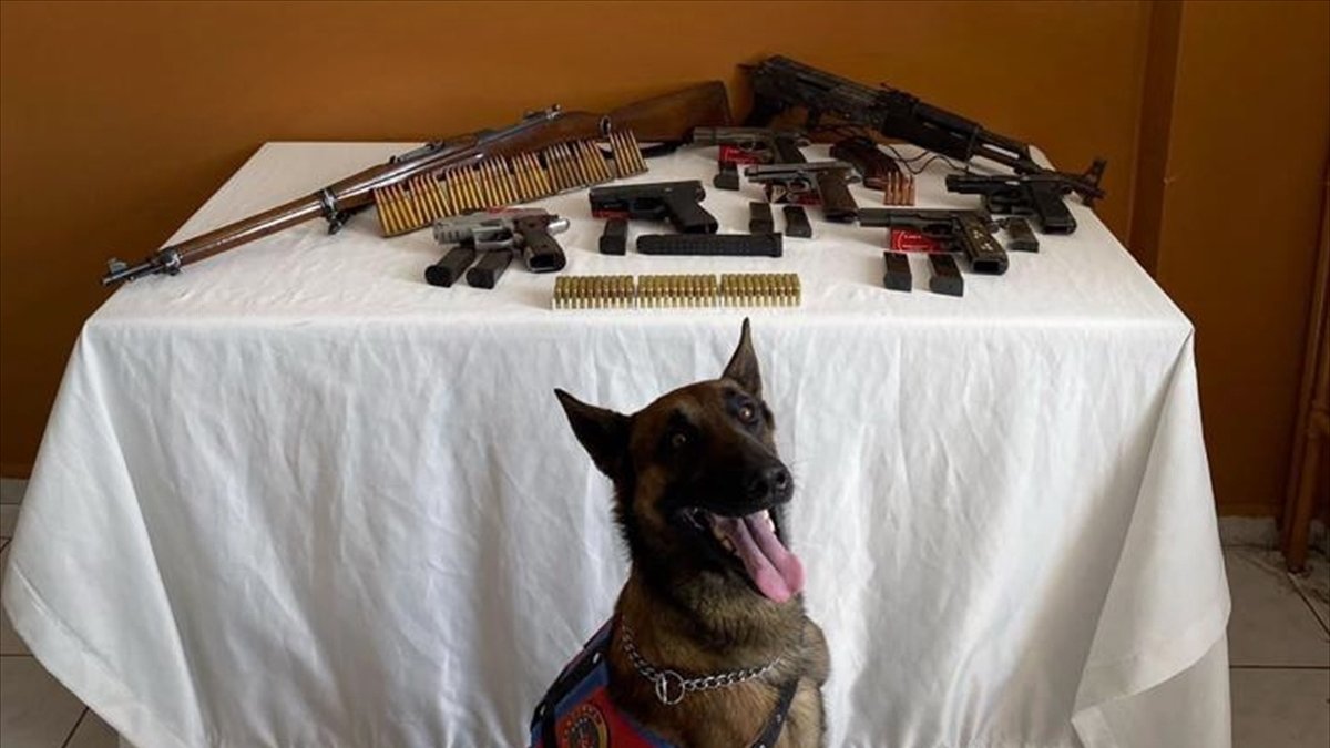 Kars'ta ruhsatsız silah ticareti yaptıkları iddiasıyla 6 kişi yakalandı