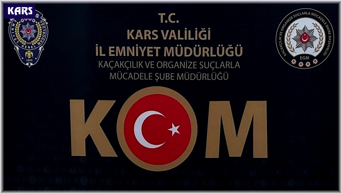 Kars'ta silah operasyonu