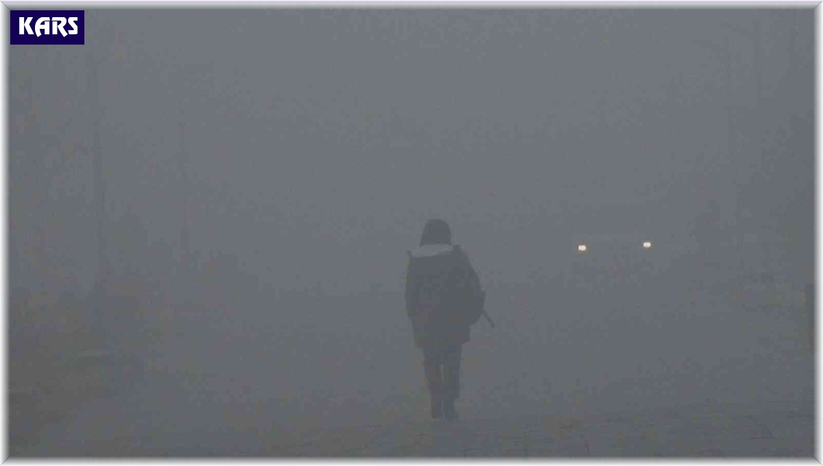 Kars'ta sis hayatı olumsuz etkiliyor