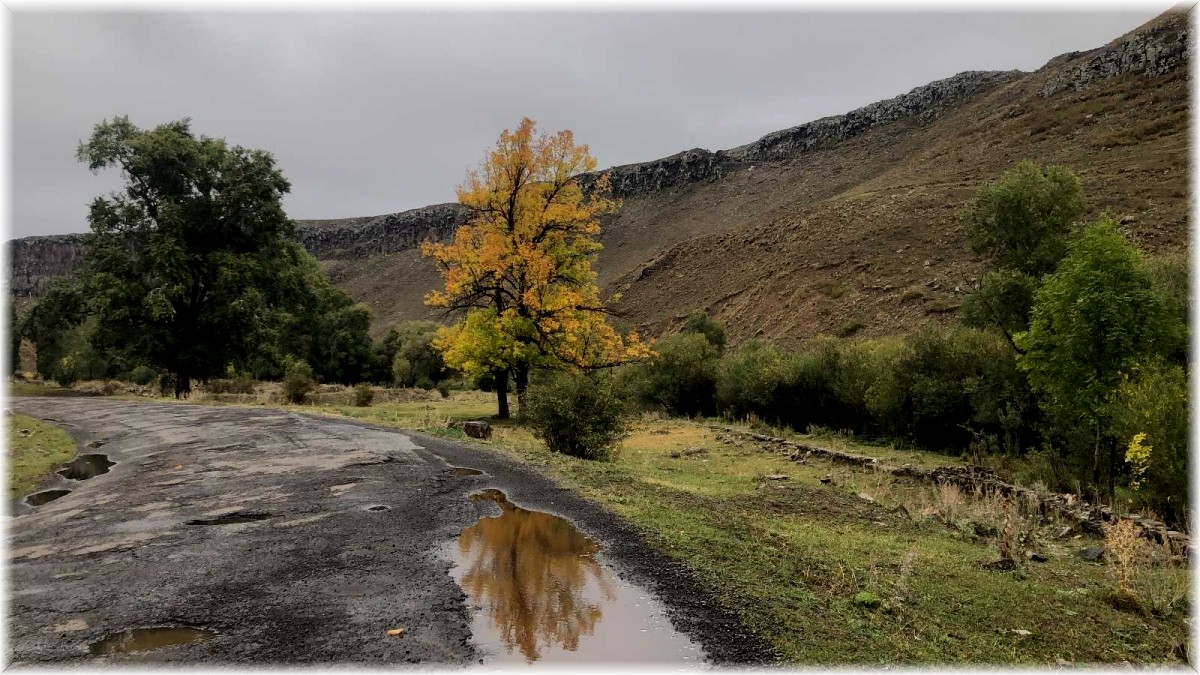 Kars'ta Sonbahar'da renk cümbüşü yaşanıyor