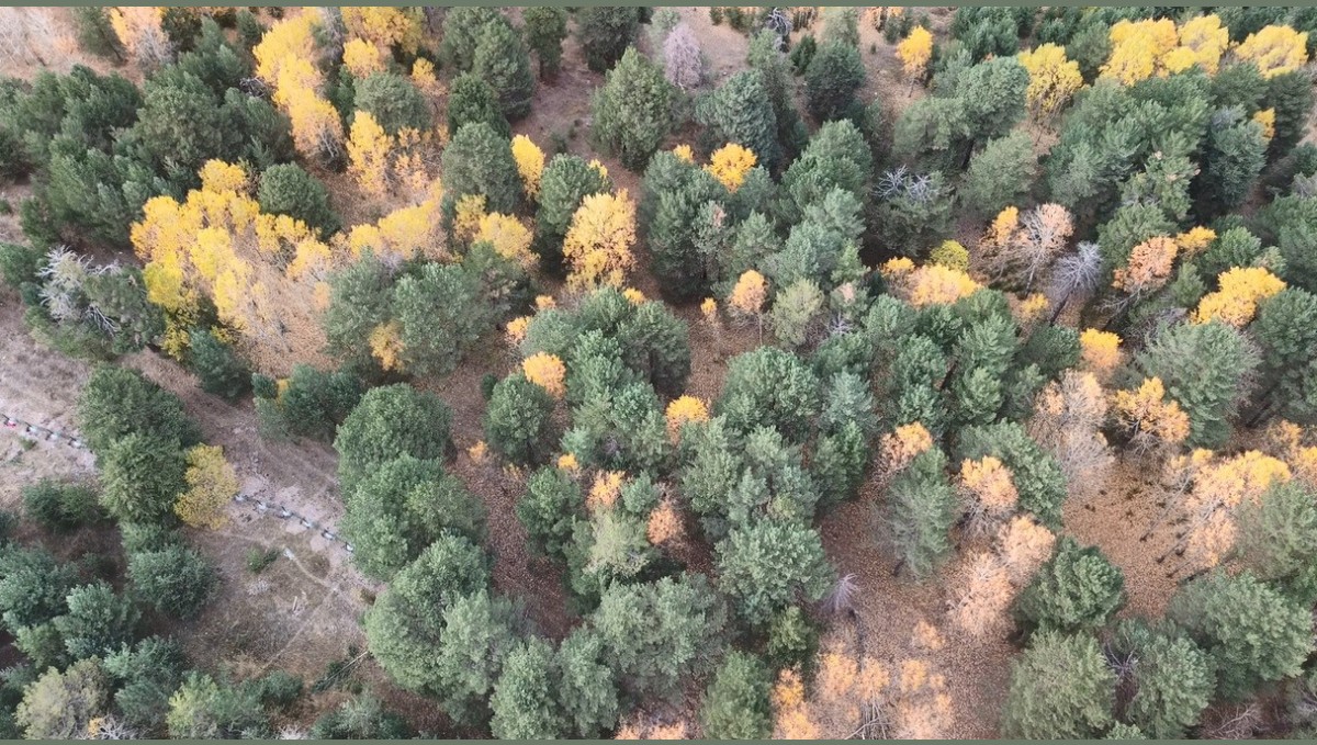 Kars'ta sonbaharda renk cümbüşü yaşanıyor