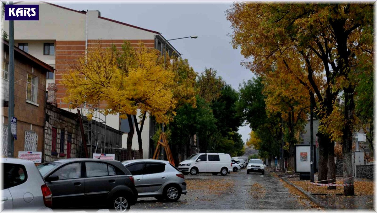 Kars'ta sonbaharda renk cümbüşü yaşanıyor