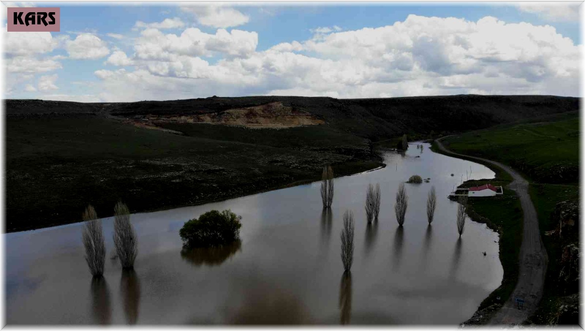 Kars'ta sular altında kalan ağaçlar havadan görüntülendi