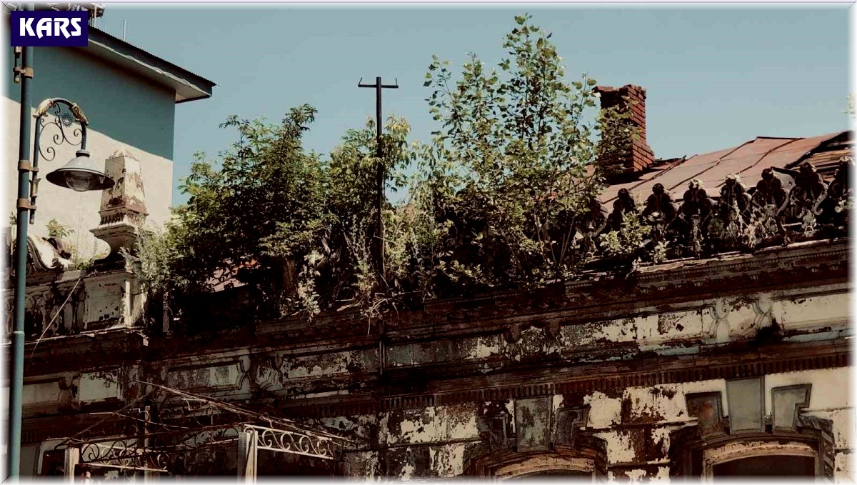 Kars'ta tarihi binanın üzerinde ağaç yetişti