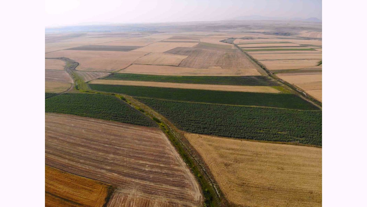 Kars'ta tarım arazileri halı deseni gibi rengarenk