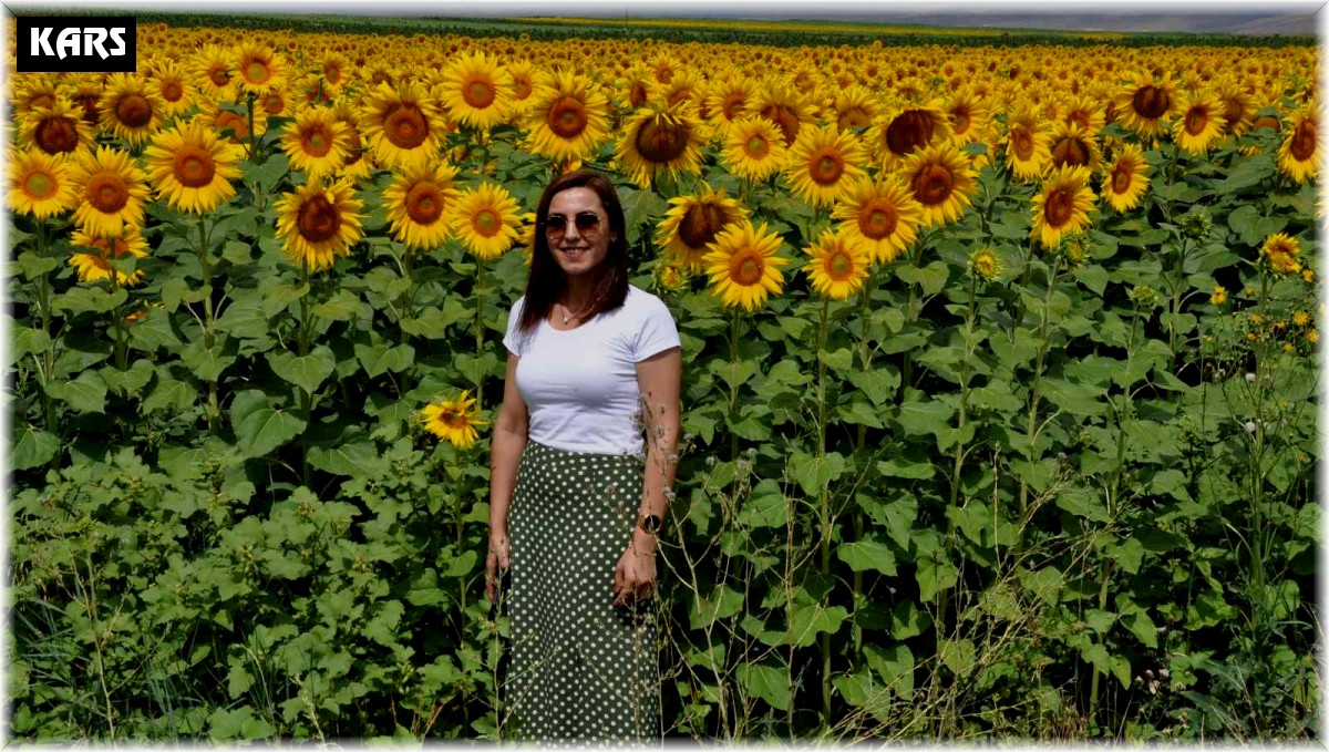 Kars'ta tarlalar sarıya boyandı