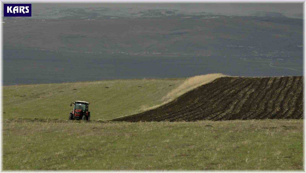 Kars'ta tarlalar sürülüyor