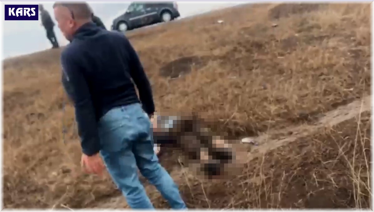 Kars'ta traktör ile tır çarpıştı: 1 ölü