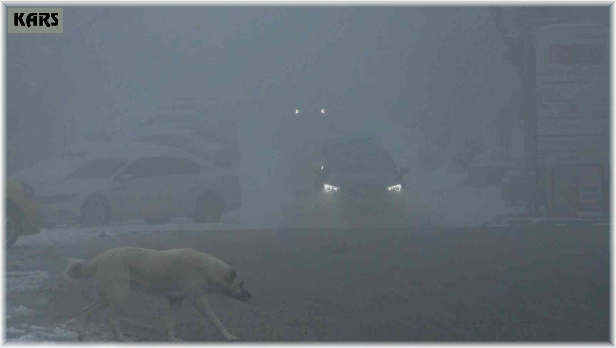 Kars'ta ulaşıma sis engeli