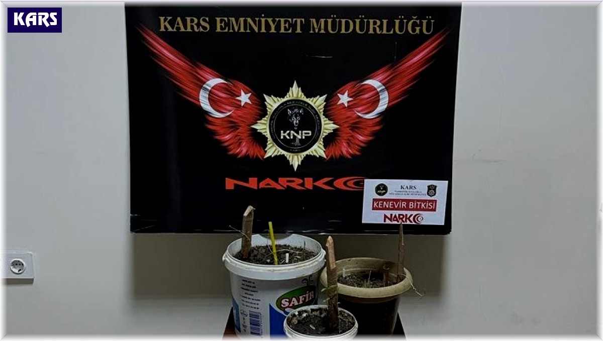 Kars'ta uyuşturucu tacirlerine şafak şoku