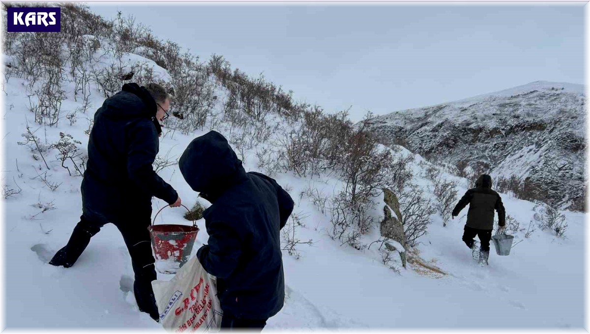 Kars'ta yaban hayvanları için doğa yem bırakıldı