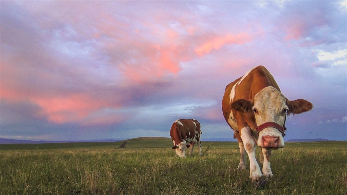 Kars'ta yağmur bulutları kızıla büründü