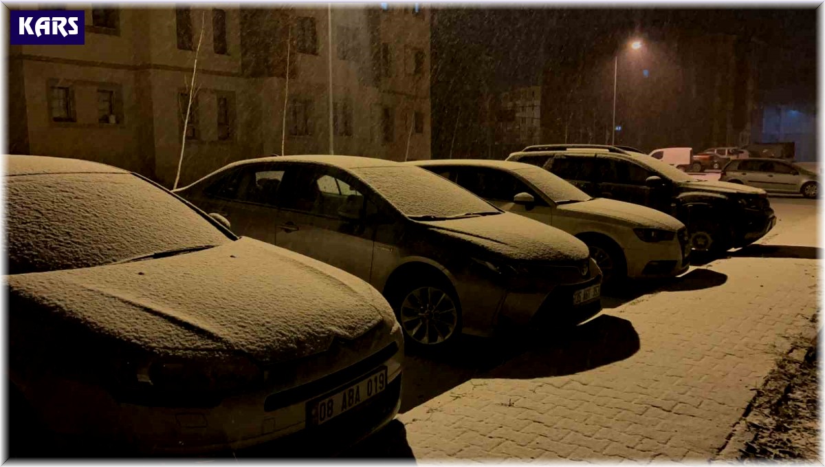 Kars'ta yoğun kar yağışı