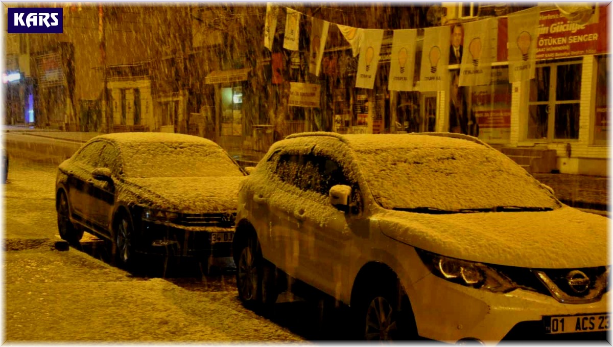 Kars'ta yoğun kar yağışı