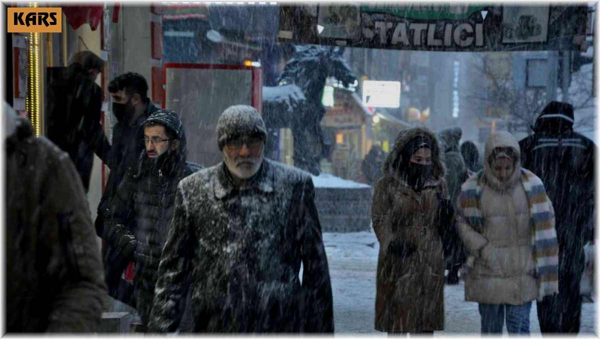 Kars'ta yoğun kar yağışı