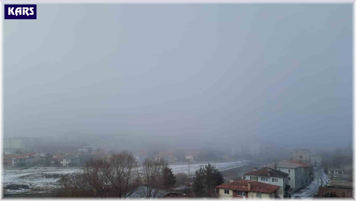 Kars'ta yoğun sis
