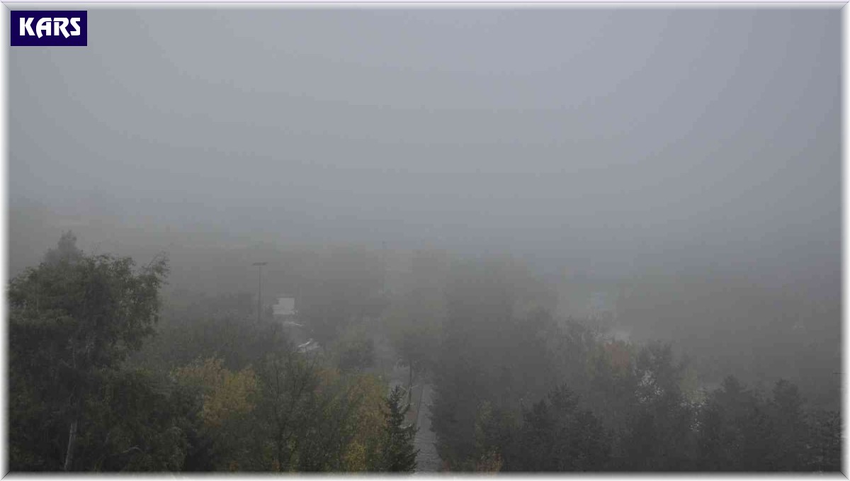 Kars'ta yoğun sis