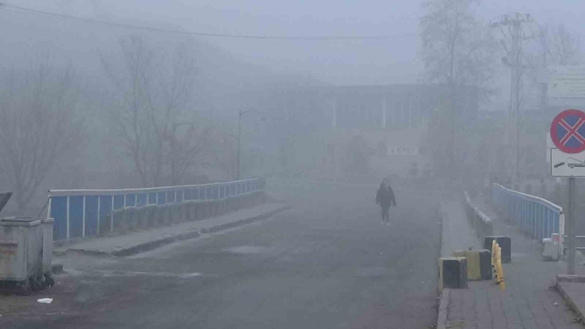 Kars'ta yoğun sis etkili oldu