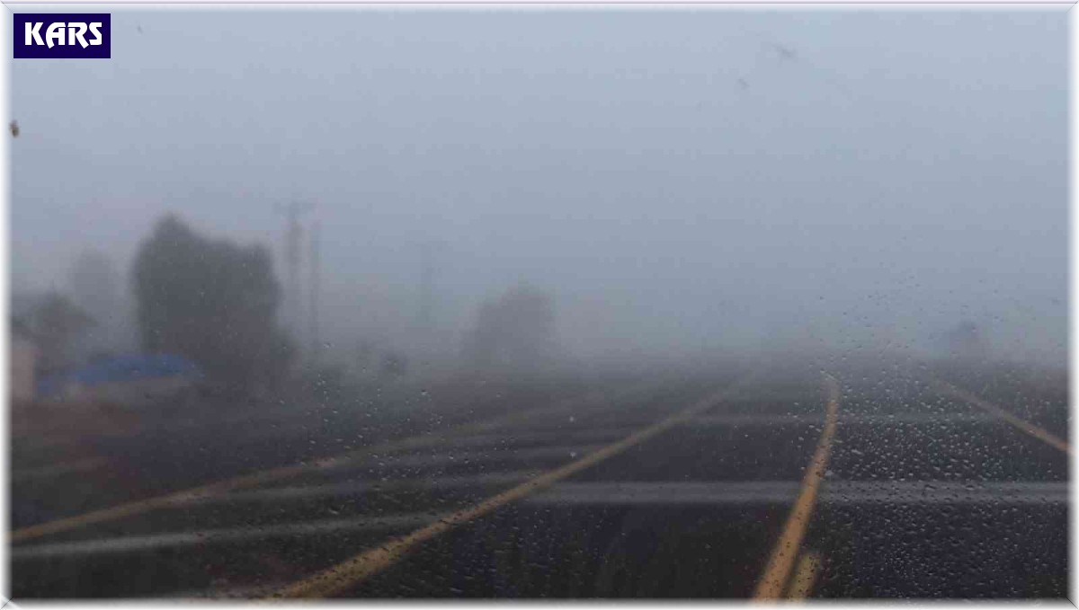 Kars'ta yoğun sis etkili oldu