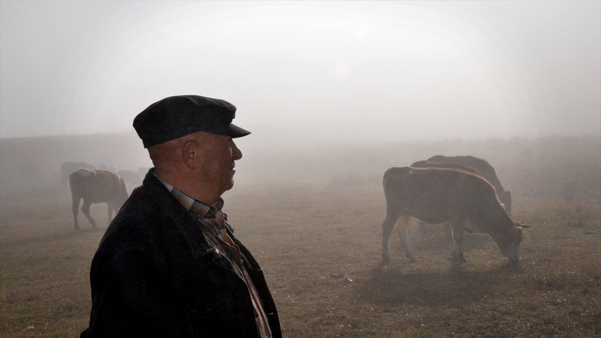 Kars'ta yoğun sis etkili oldu
