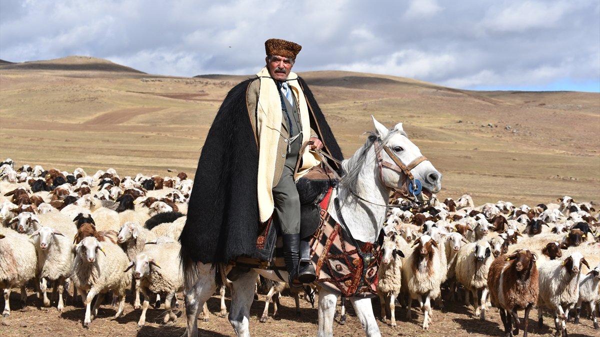 Kars'taki asırlık koç katım geleneği renkli görüntüler oluşturdu