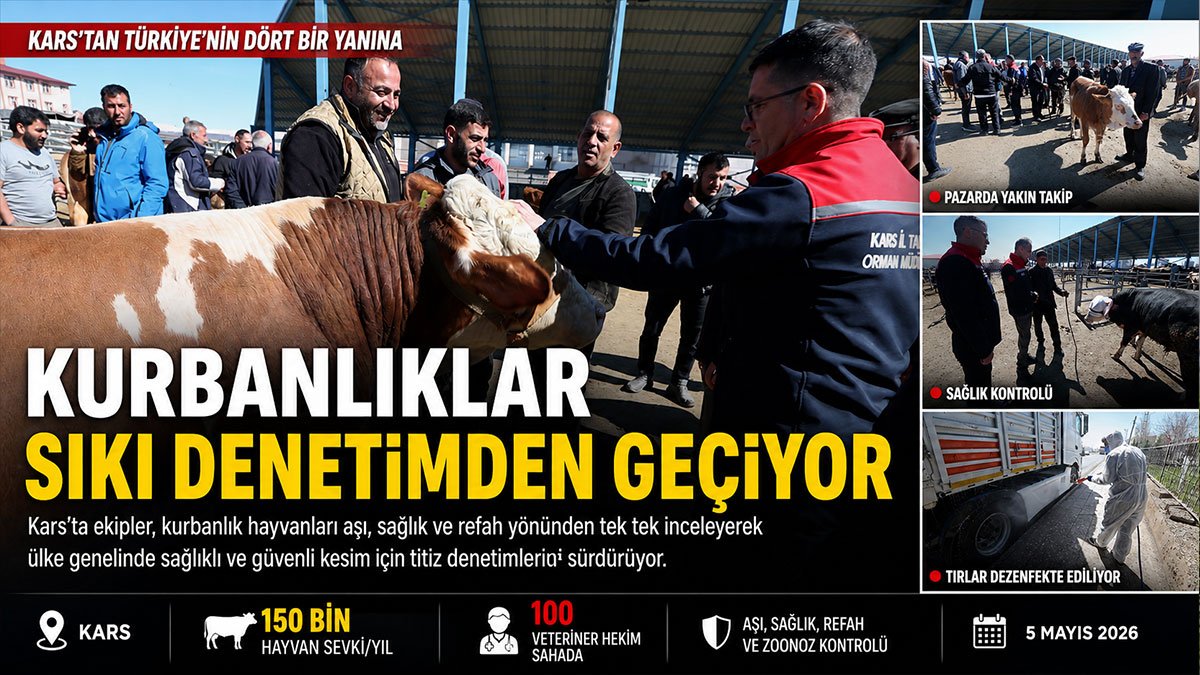 Kars'tan sevk edilen kurbanlıklar 100 kişilik ekiple denetleniyor