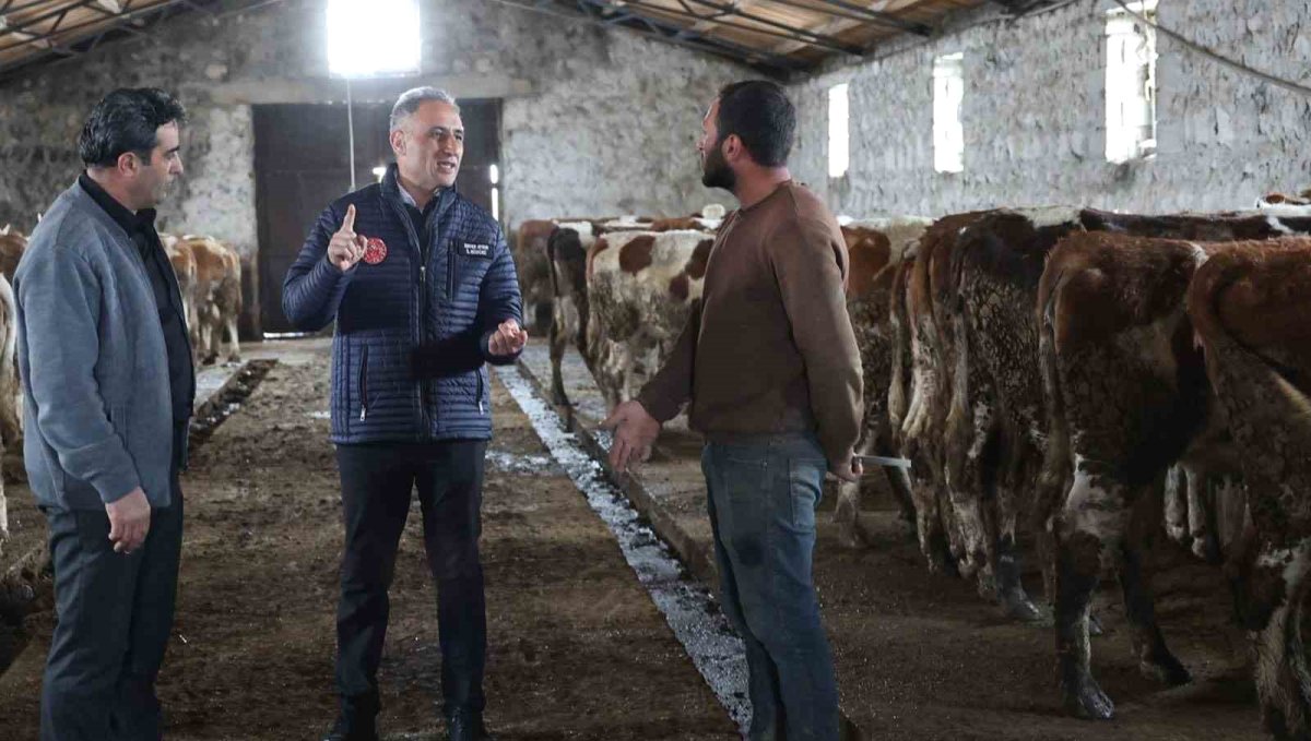 Kars Tarım ve Orman Müdürlüğü sahada: Bayraktar Köyü'nde büyükbaş işletmesine ziyaret
