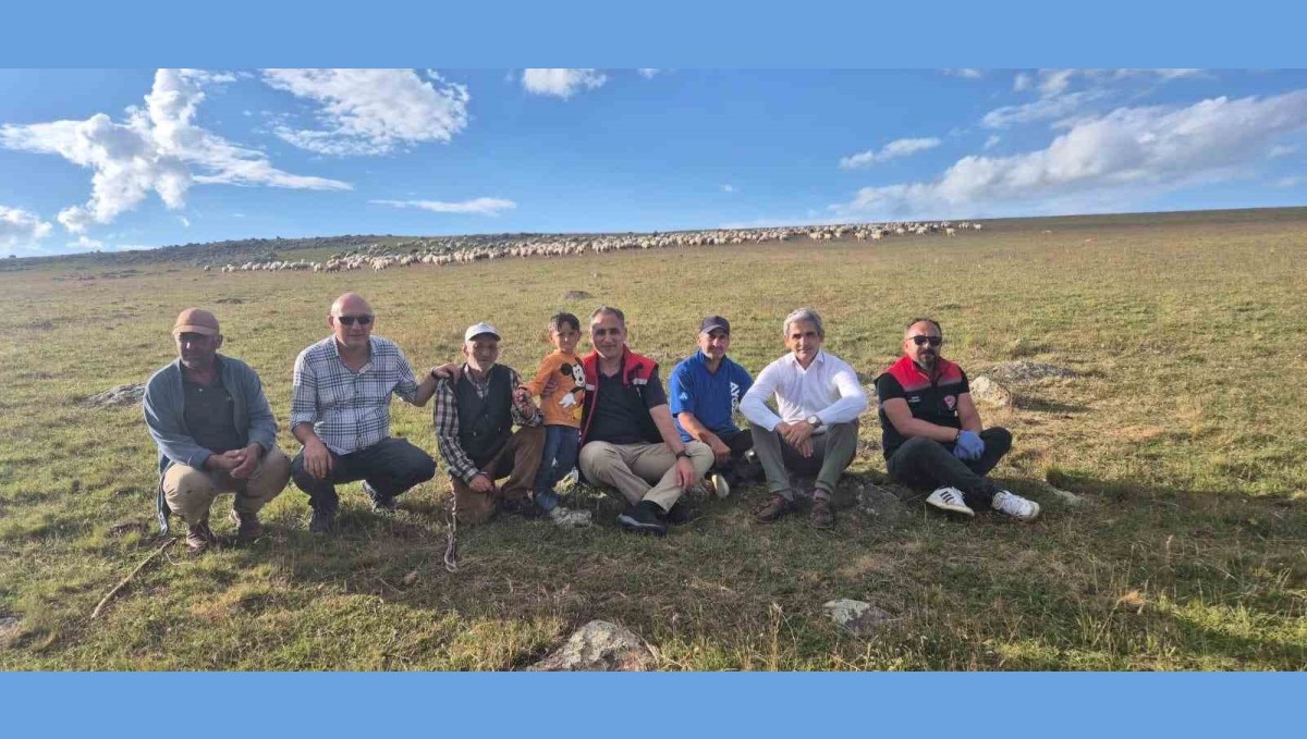 Kars Tarım ve Orman Müdürü Aydın 2 bin 600 rakımlı yaylalarda incelemelerde bulundu
