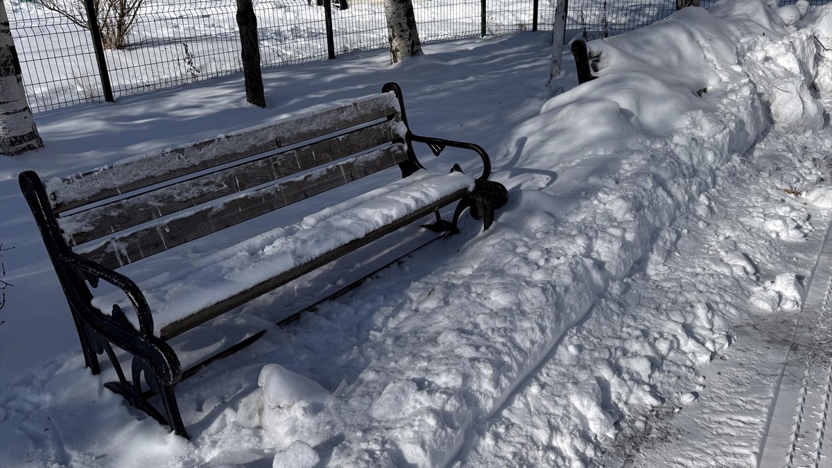 Kars ve Ardahan'da dondurucu soğuklar etkili oluyor