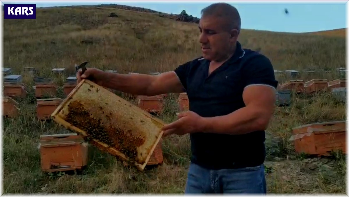 Karslı 'arı adam' sınırları zorluyor