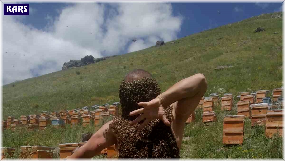 Karslı arıcıdan 'yok artık' dedirten görüntüler