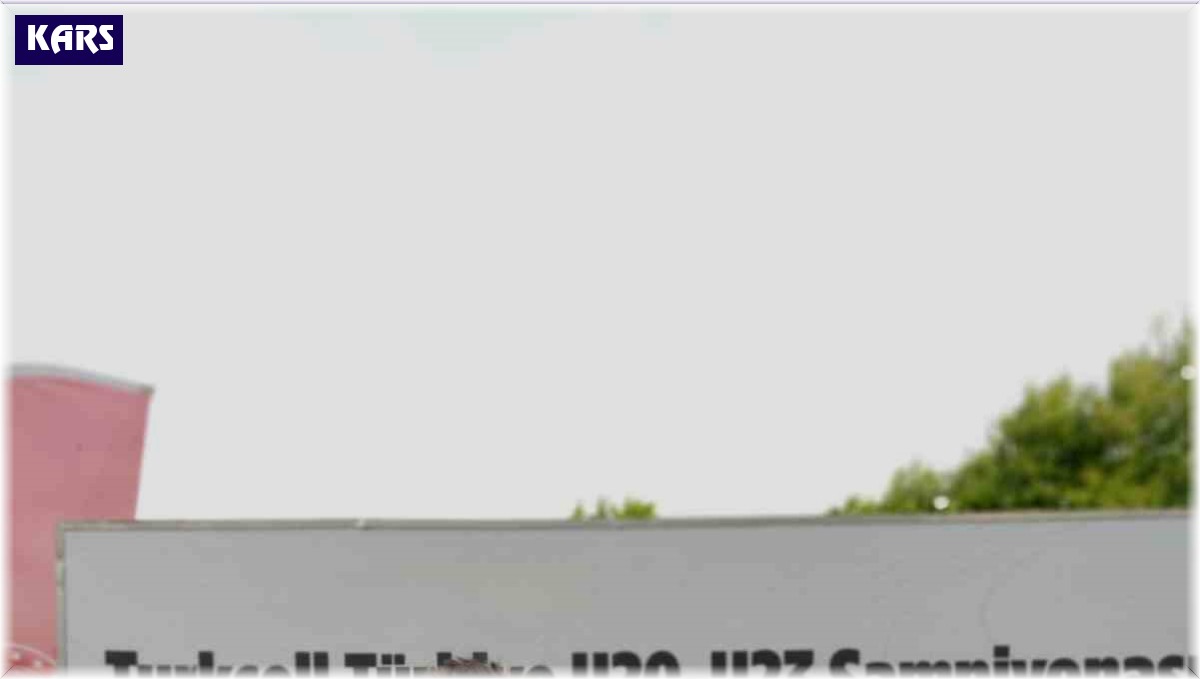 Karslı atletler madalyaları topladı