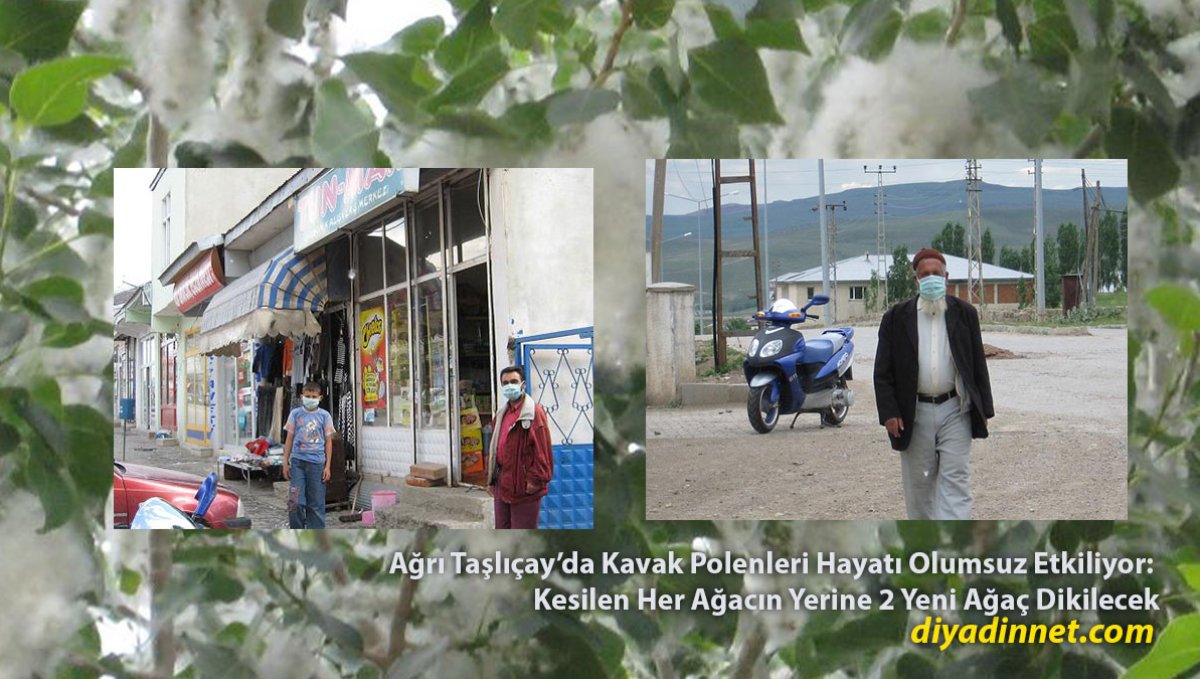 Kavak Polenleri Taşlıçay'ı Sardı: Vatandaşlar Sokağa Maskeyle Çıkıyor