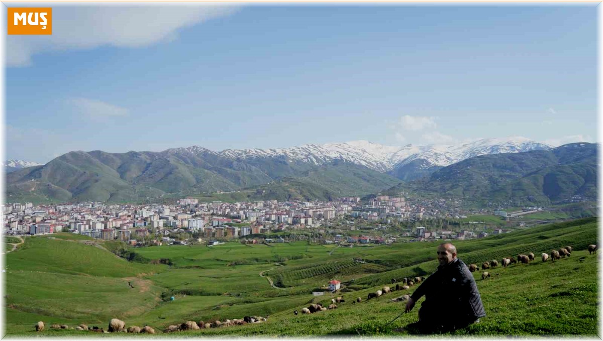 Kavalsız kaval sesi çıkarıyor