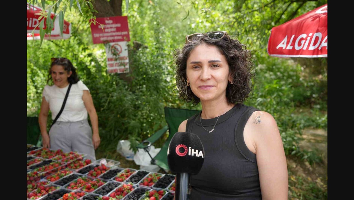 Kavurucu sıcaklarda çilek ve böğürtlen mevsimi