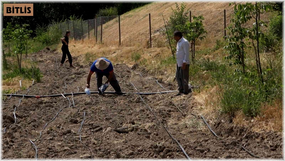 Kavurucu sıcaklıkta üretim mesaisi