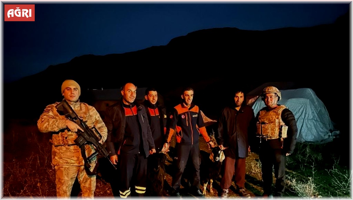 Kayalıklarda mahsur kalan hayvanlar kurtarıldı