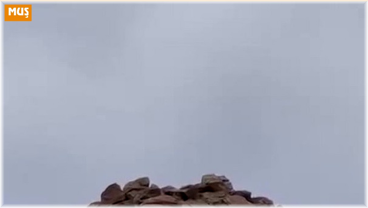 Kayalıklarda mahsur kalan köpek kurtarıldı