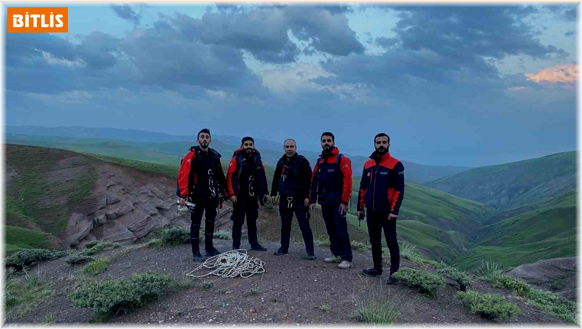 Kayalıkta mahsur kalan yavru oğlaklar AFAD tarafından kurtarıldı