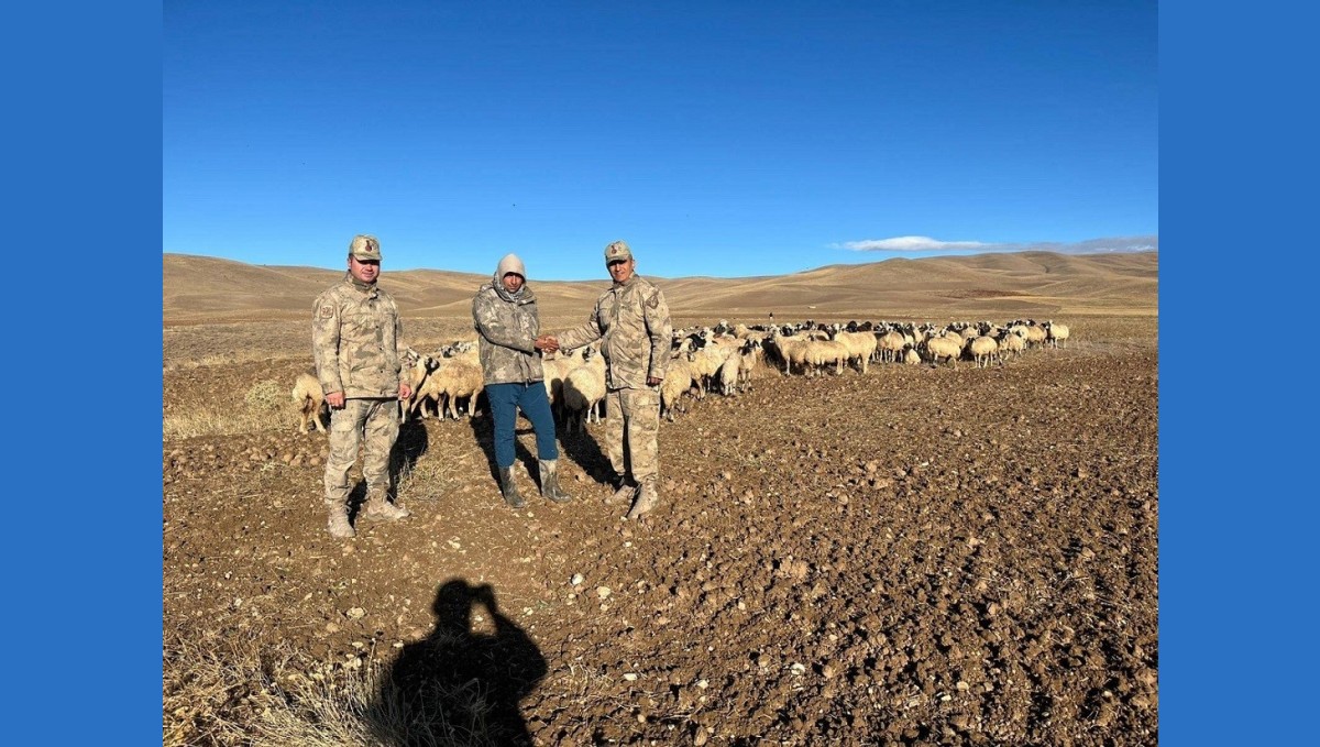 Kaybolan hayvanlar jandarma tarafından bulundu