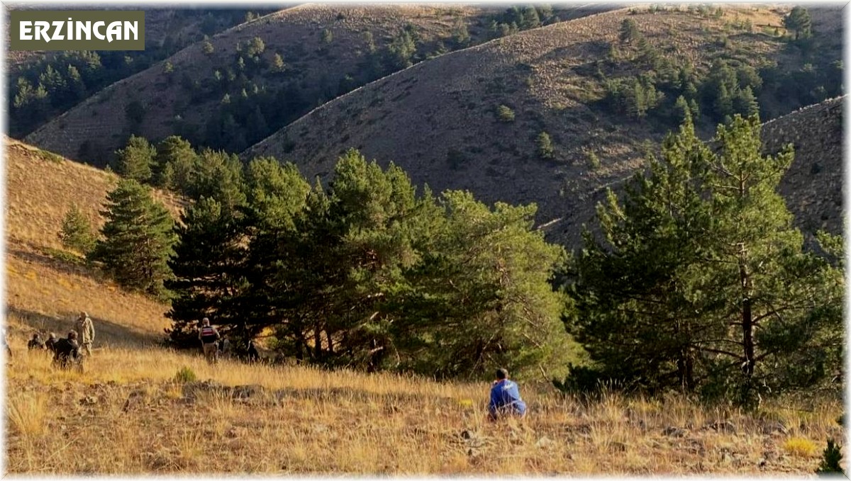 Kayıp olarak aranan şahsın cesedi ormanlık alanda bulundu