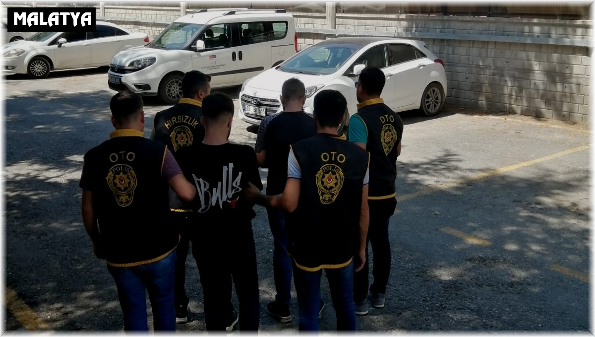 Kayısı hırsızları tutuklandı