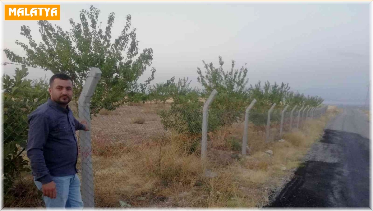 Kayısı üreticisinin başı tel örgü hırsızlarıyla dertte