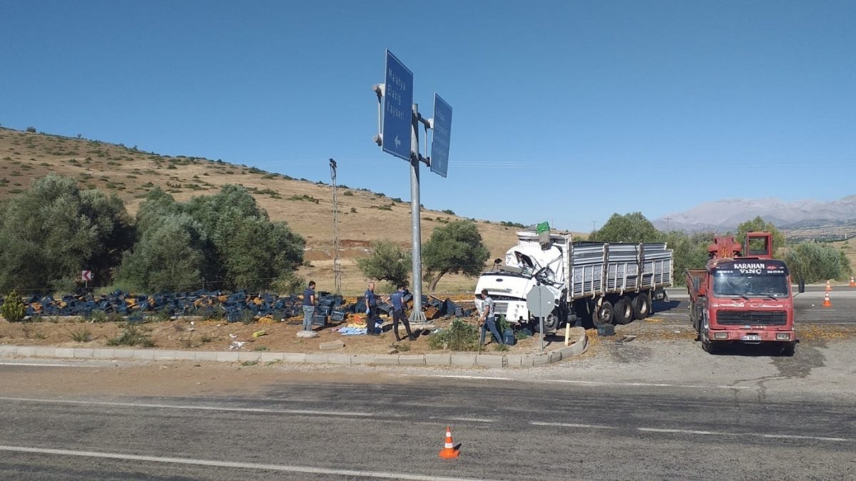 Kayısı yüklü kamyon devrildi: 1 ölü