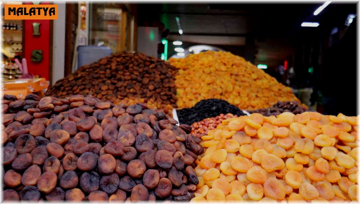 Kayısıda 11 ayda 305 milyon dolarlık ihracat geliri