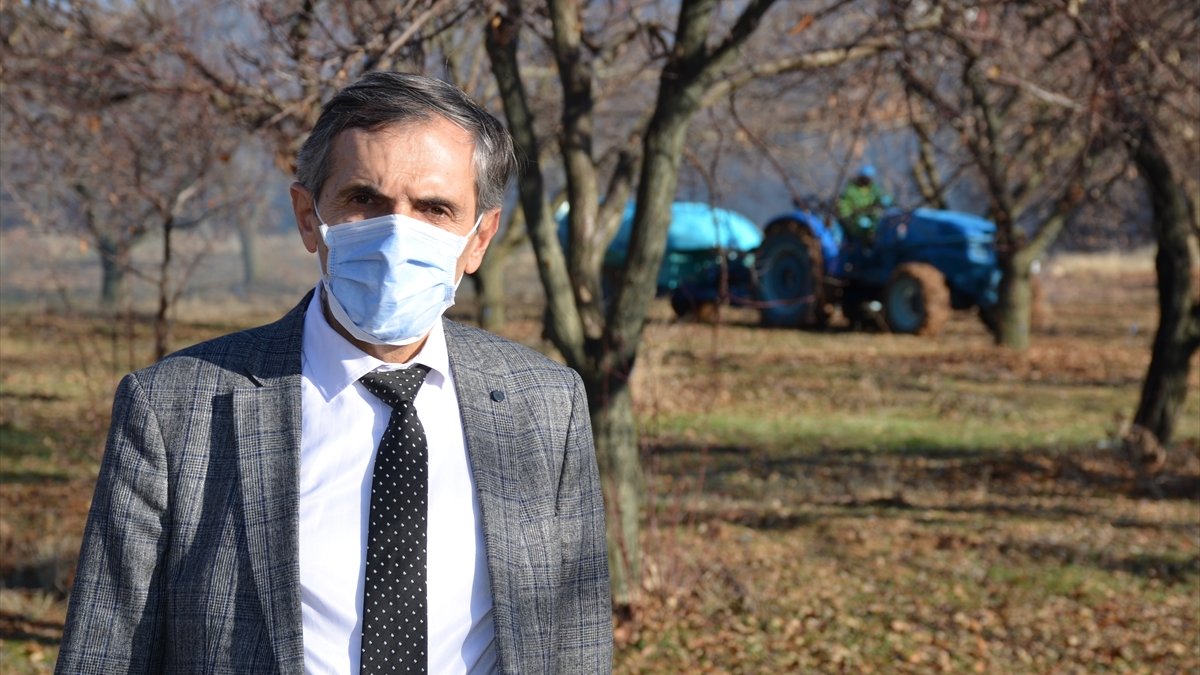 "Kayısının başkenti"nde yeni sezon hazırlıkları başladı