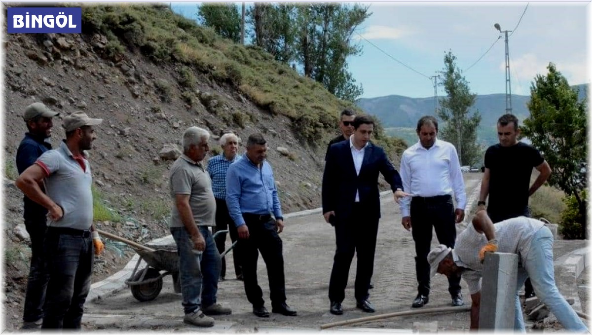 Kaymakam Başar çalışmaları inceledi