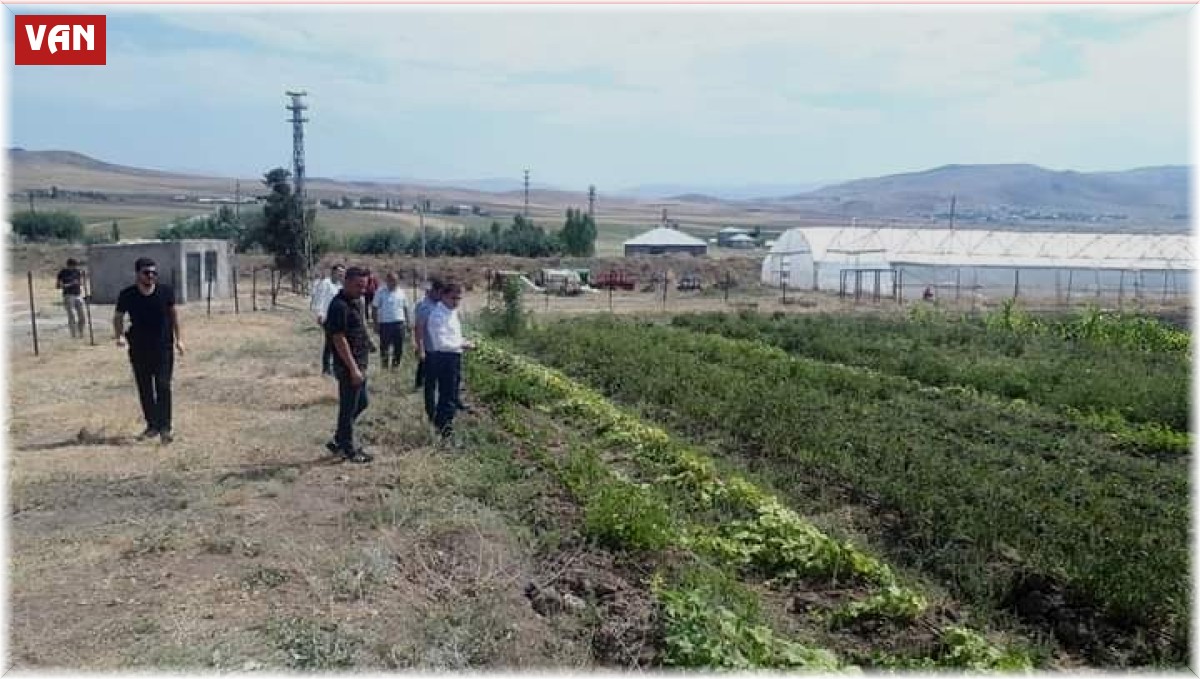 Kaymakam Nasır, yetiştirilen ürünleri inceledi