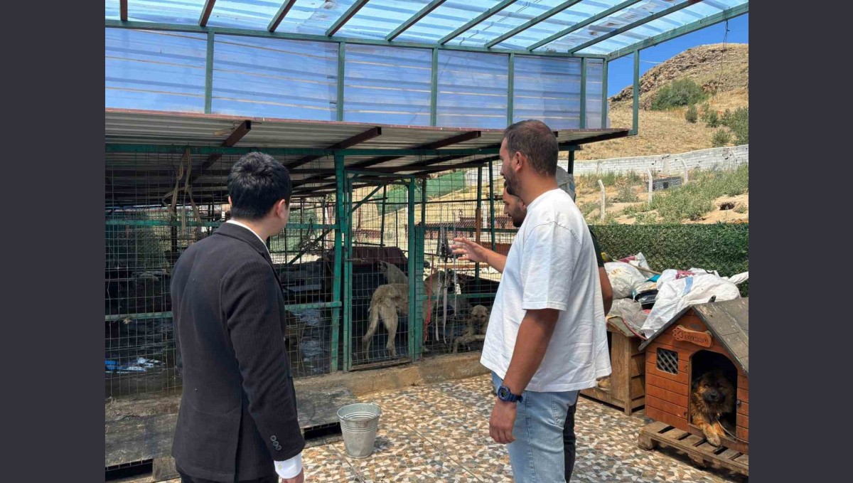 Kaymakam Tutal, Hayvan Barınağı'nda incelemelerde bulundu