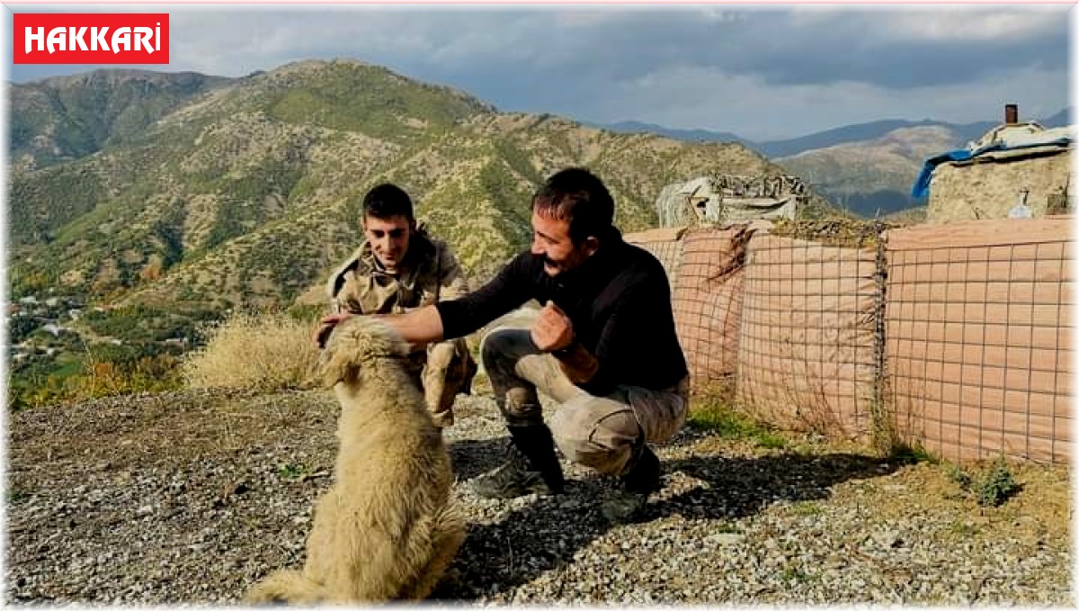 Kaymakamın bulduğu yavru köpekler güvenlik güçlerine arkadaş oldu